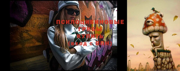 СК Абдулино